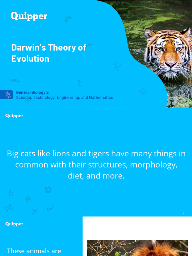 Darwins Theory of Evolution | PDF | Charles Darwin | Evolution