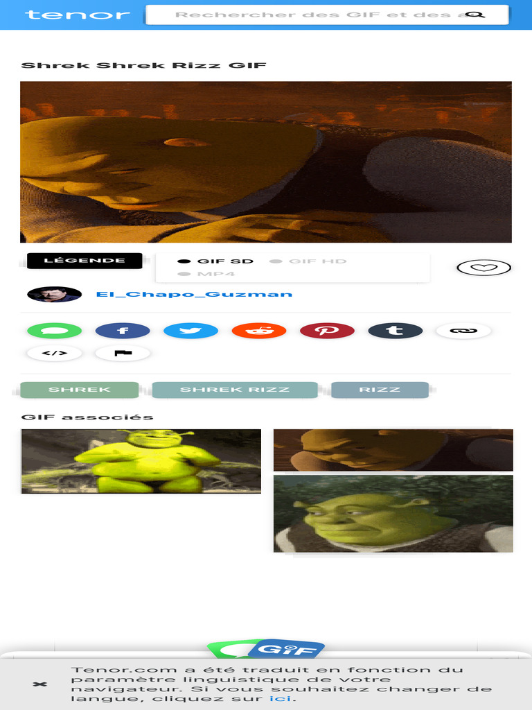 Shrek Shrek Rizz GIF - Shrek Shrek Rizz Rizz - Découvrir Et Partager ...