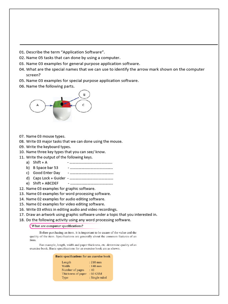 Grade 6 Unit 4 | PDF