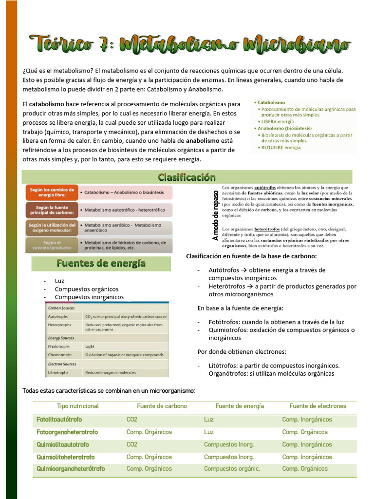 Teo7 - Metabolismo | PDF | Trifosfato de adenosina | Respiración celular