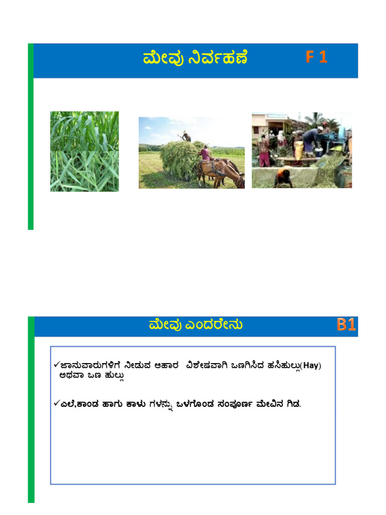 2-10B Fodder Management | PDF