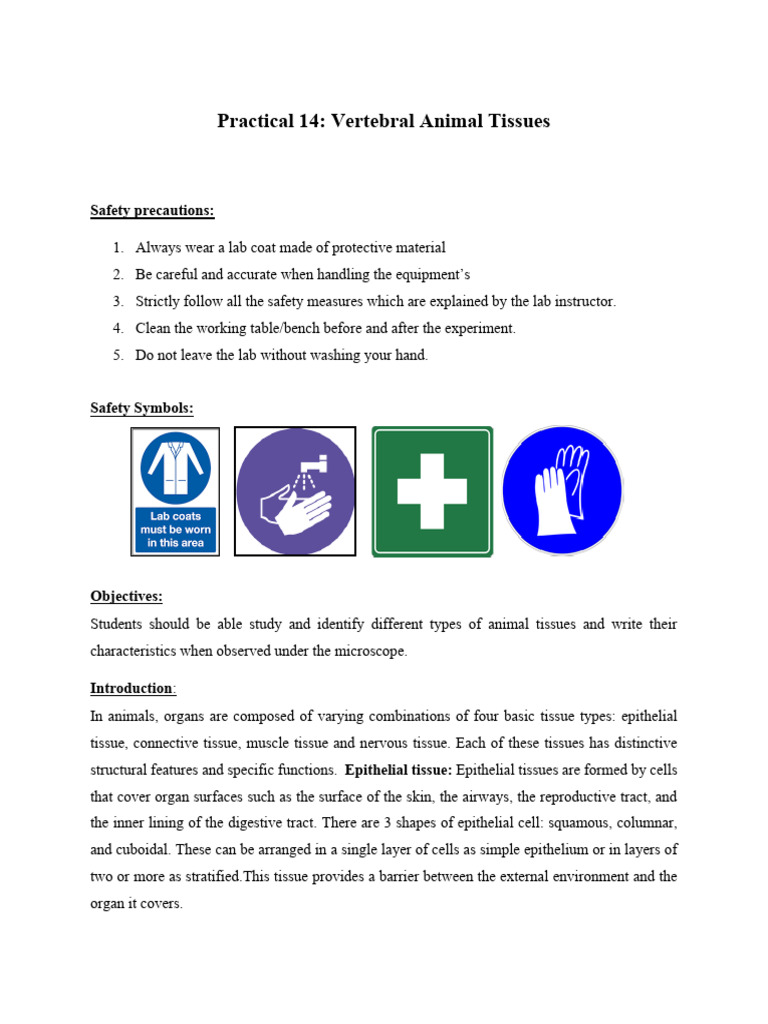Practical 14 Vertebral Animal Tissues | PDF | Tissue (Biology) | Epithelium