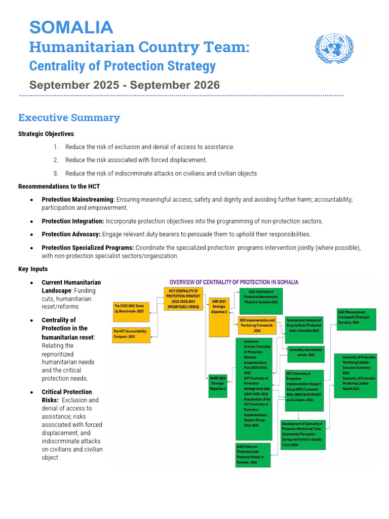 The Centrality of Protection Strategy 2025-2026 | PDF | Food Security ...