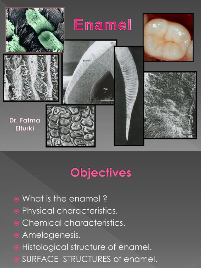 Enamel | PDF