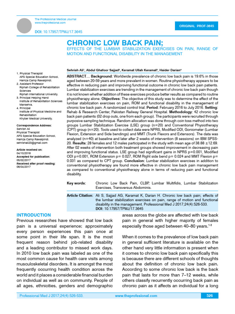 Chronic Low Back Pain | PDF | Low Back Pain | Physical Therapy