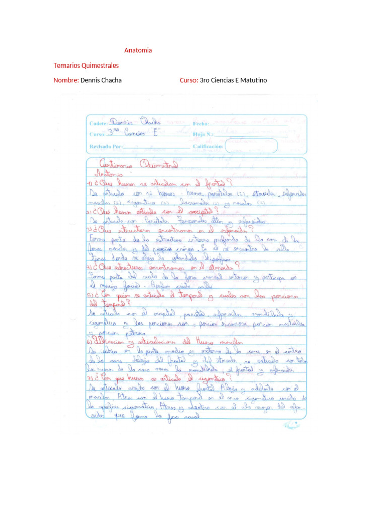 Anatomia Temarios Quimestrales | PDF