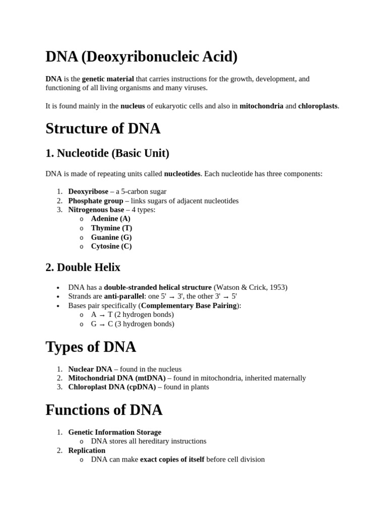 Dna & Rna | PDF