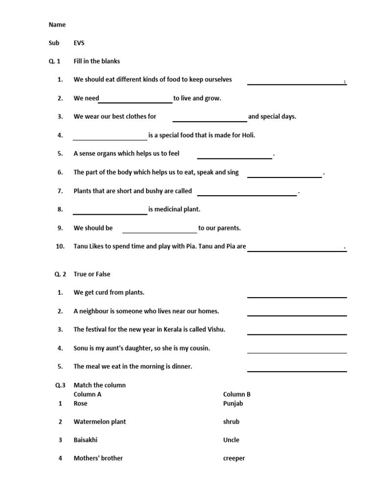 Grade 1 ICSE EVS Paper Sample | PDF | Chess Theory | Chess