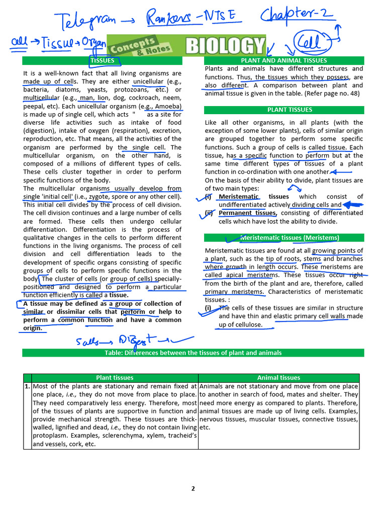 Tissue Plan | PDF | Epithelium | Tissue (Biology)