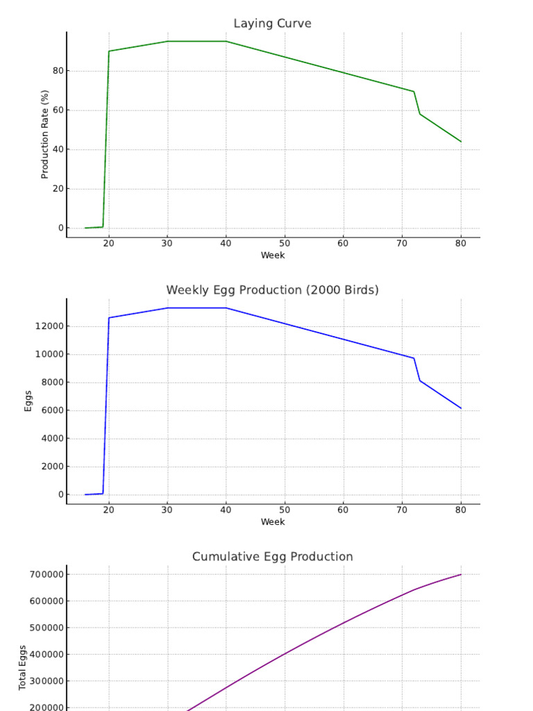 Layer Unit Charts and Documentation | PDF