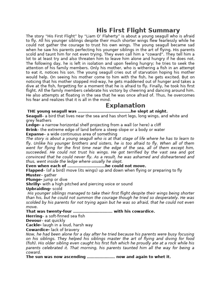 His First Flight Summary | PDF