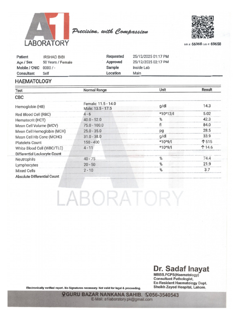 A1 Lab | PDF