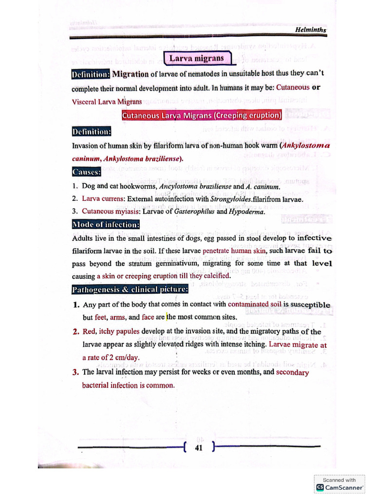Lec 12 para | PDF