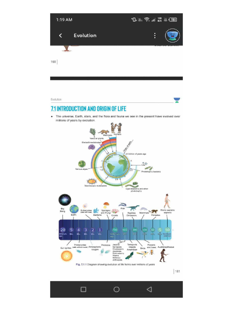 Evolution (Short Notes) ? | PDF