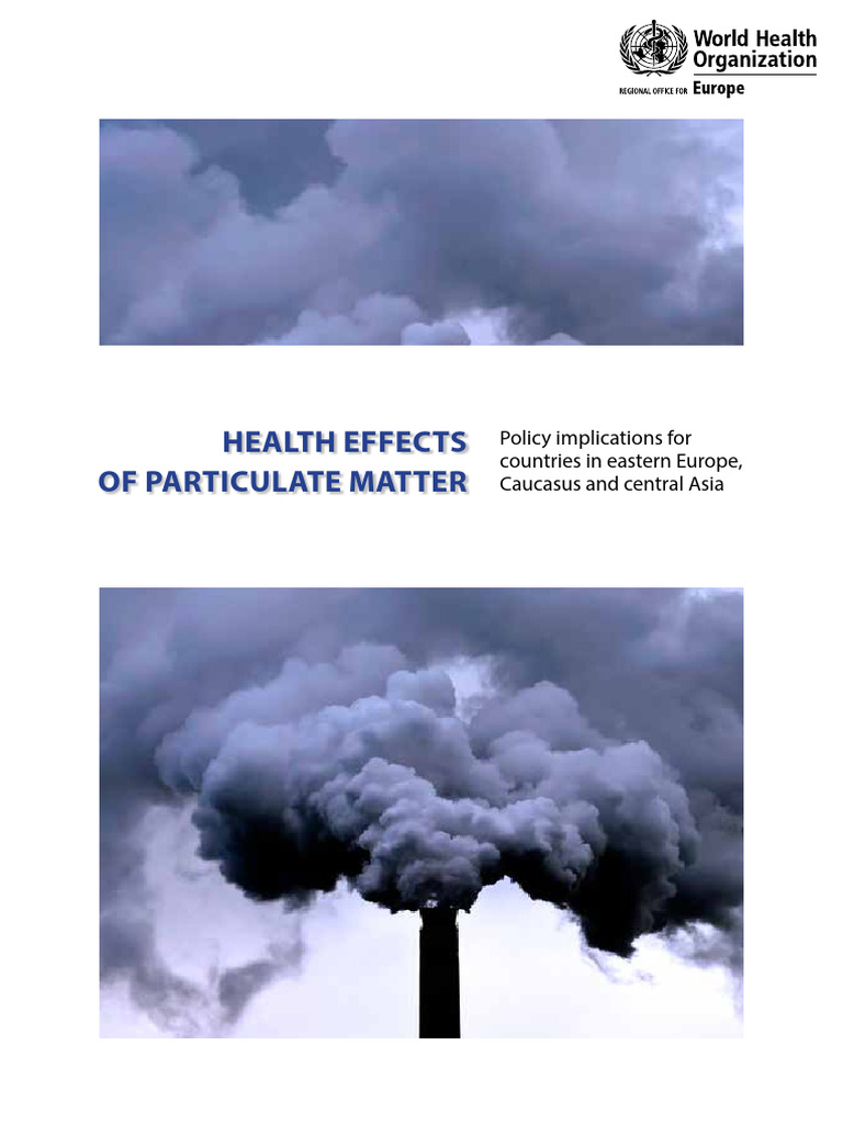 5 Particulate Matter Health Effects | PDF | Air Pollution | Polycyclic ...