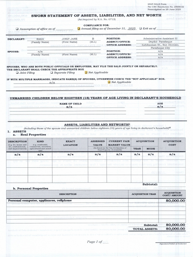 Sample of SALN | PDF
