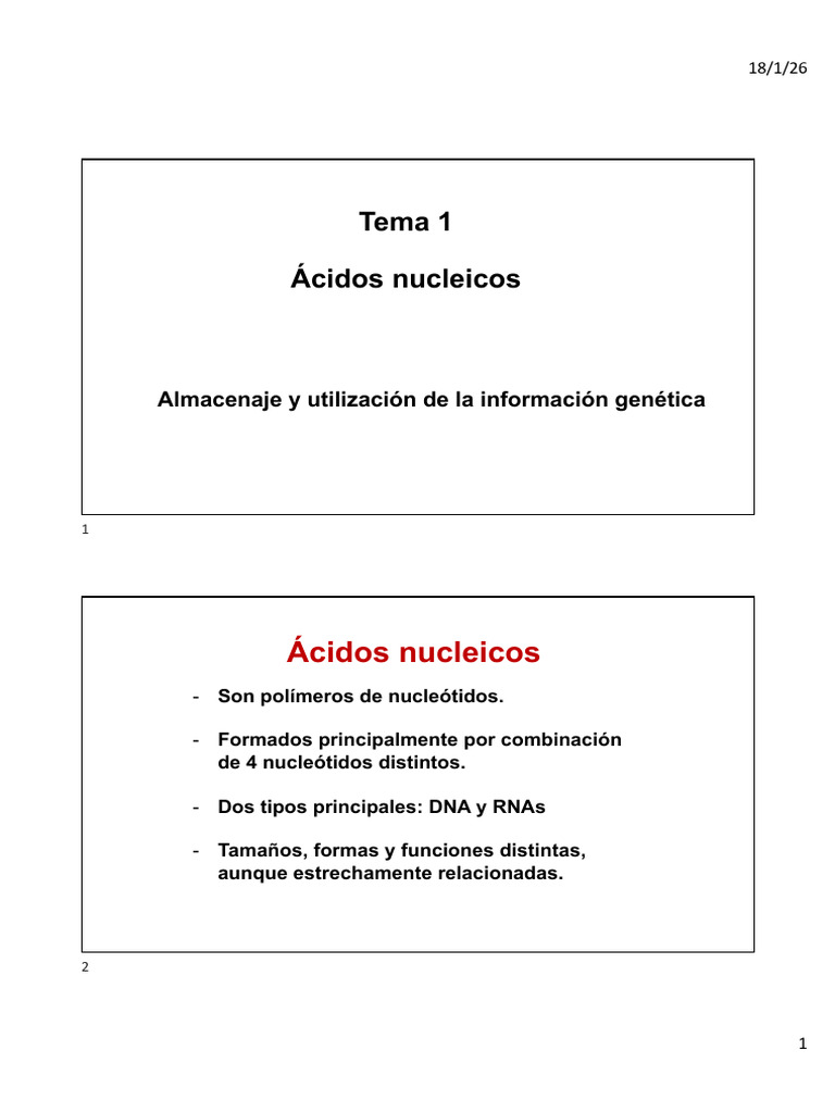 Bloque I - Tema 1. Ácidos Nucleícos | PDF | Rna ribosomal | Adn