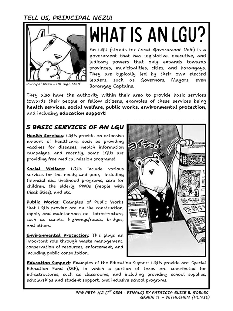 What Is An LGU | PDF