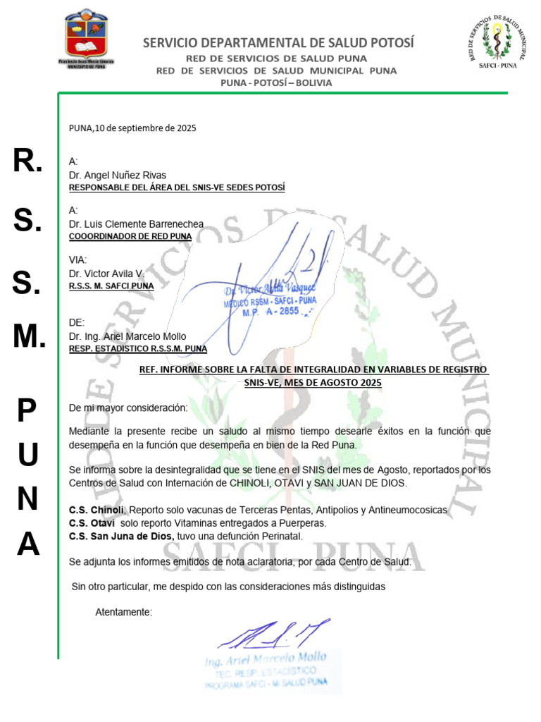 Informe Desintegralidad Snis Ve Agosto RSSM Puna2025 | PDF