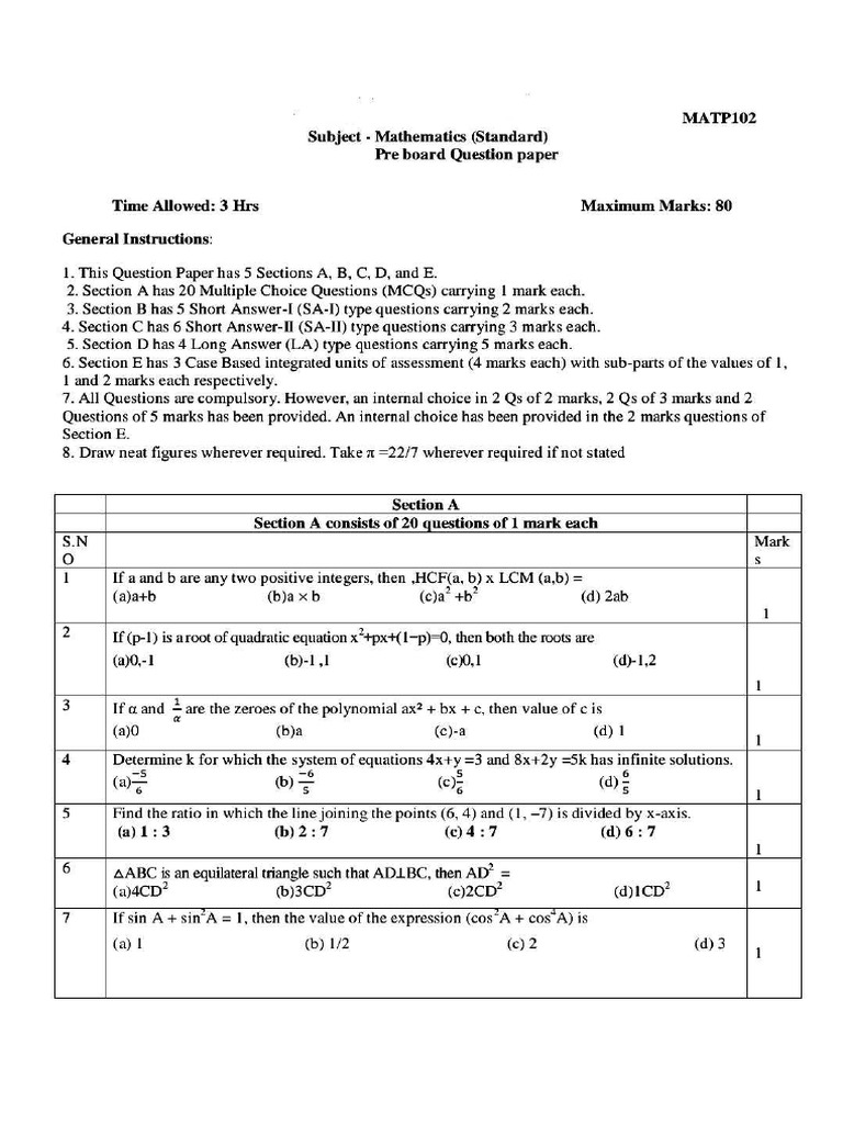 DAV Sample Paper | PDF