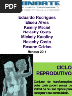 CICLO REPRODUTIVO