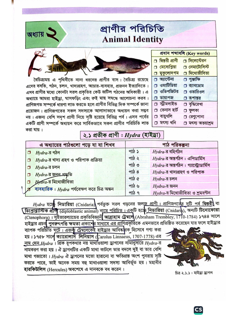 Hydra | PDF