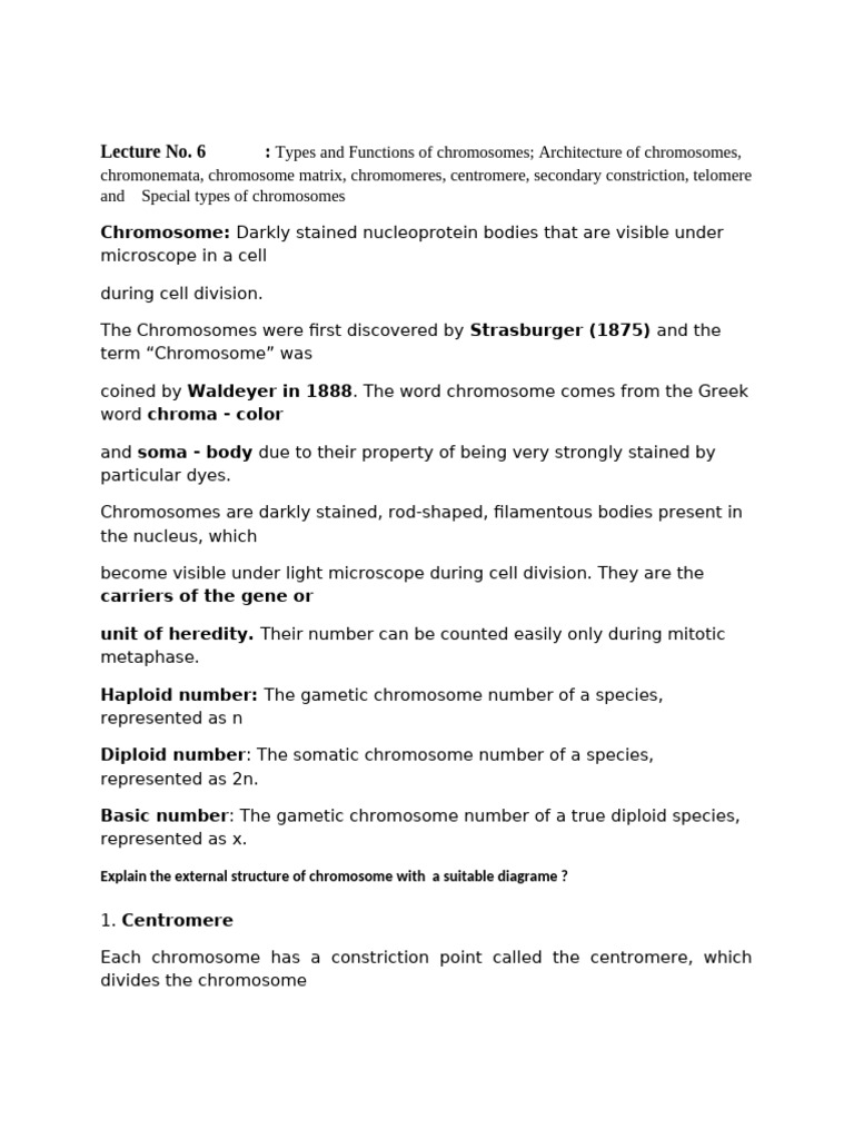 Lesson Plan Lect 6 | PDF | Chromosome | Meiosis