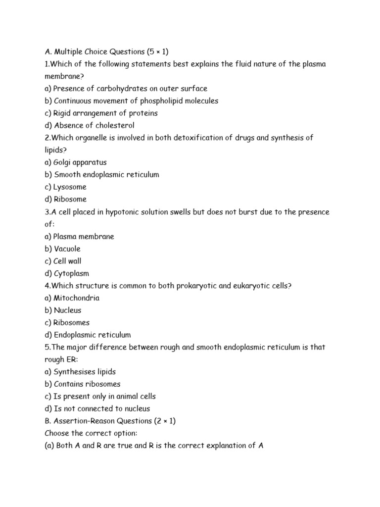 Cell Worksheet | PDF | Cell (Biology) | Endoplasmic Reticulum