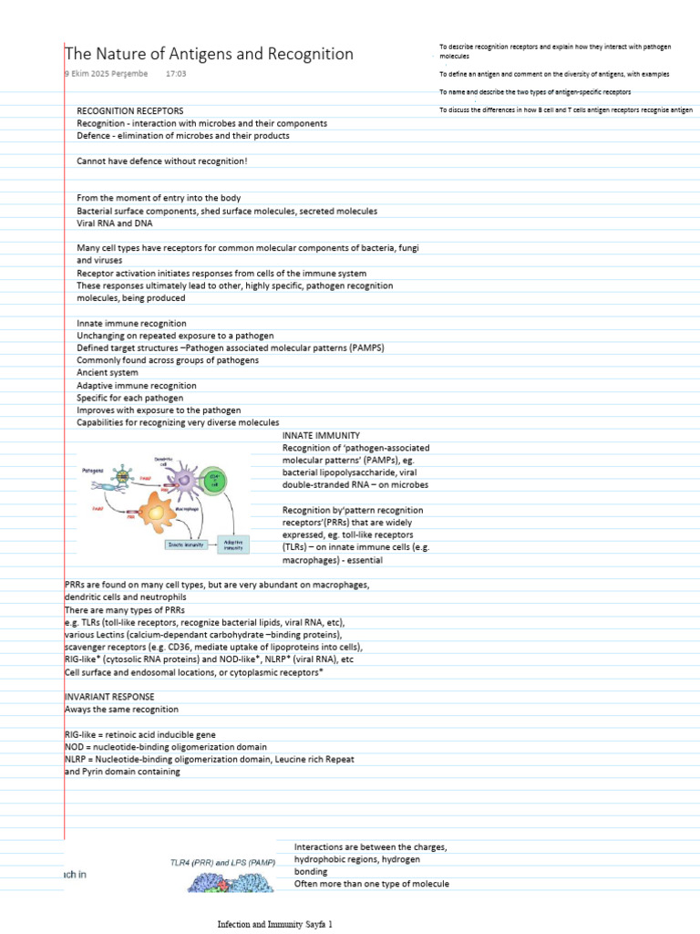 The Nature of Antigens and Recognition Notes | PDF | Antibody | Antigen