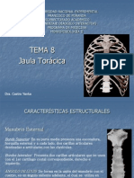 Tema 8 Caja Toracica