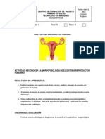 Guia Sistema Reproductor Femenino Grupo Diana Mayo 2012 (1) (1) (Reparado)