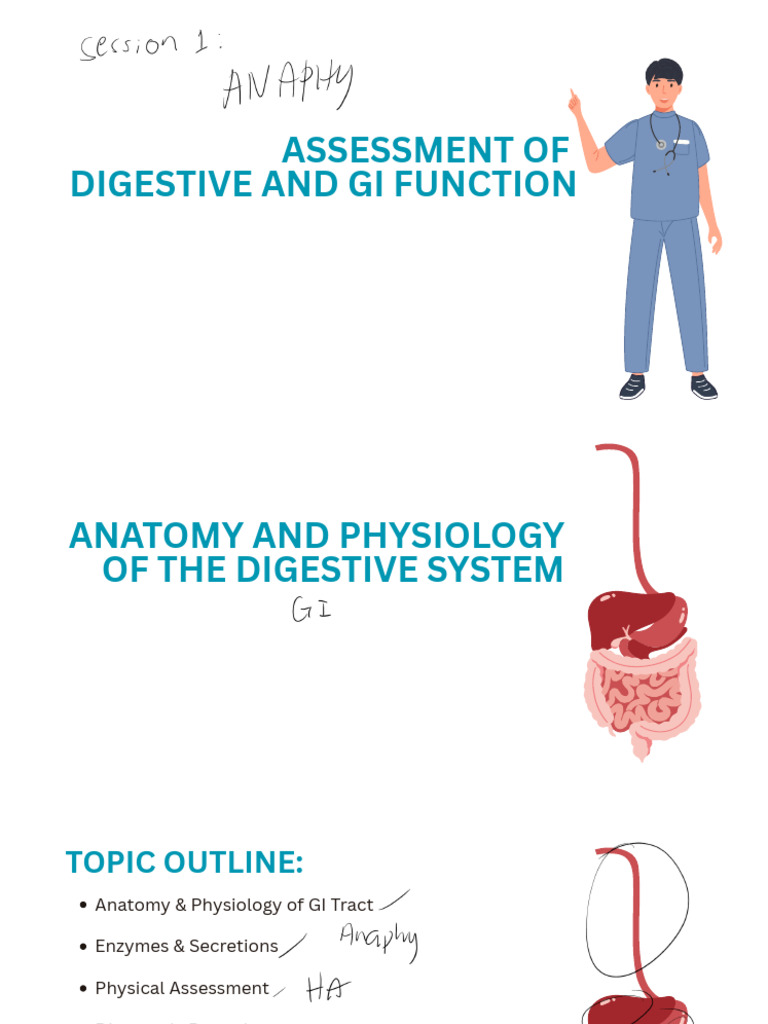 Assessment of Digestive and Gi Function - 202601021051 - 33775 | PDF ...