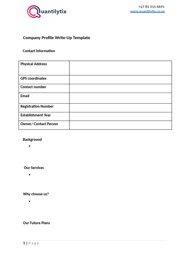 Company Profile Write Up Template | PDF