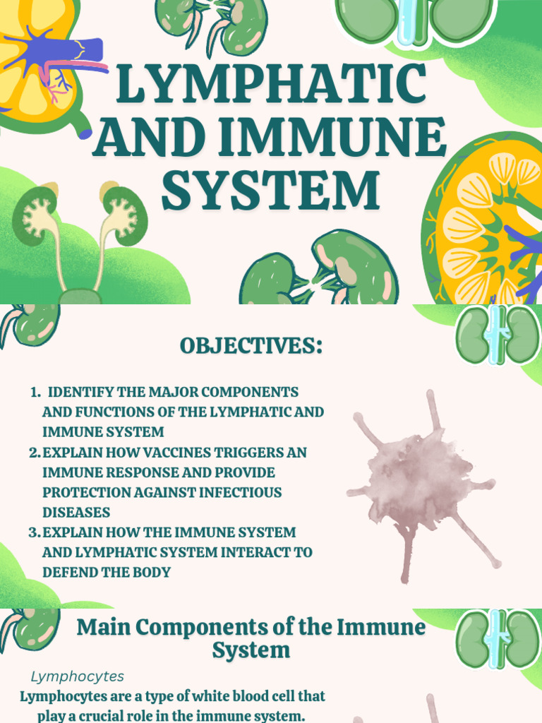 Green Yellow Playful Renal Urinary System Biology Group Project ...