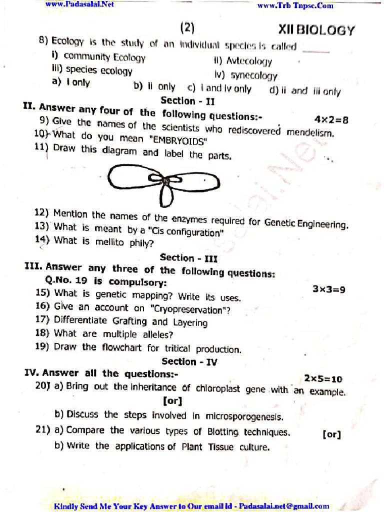 1 ST Question Paper | PDF