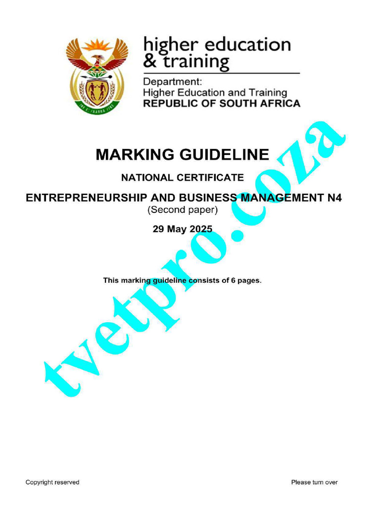 n450 Entrepreneurship and Business Management n4 p2 Memo Jun 2025 1 | PDF