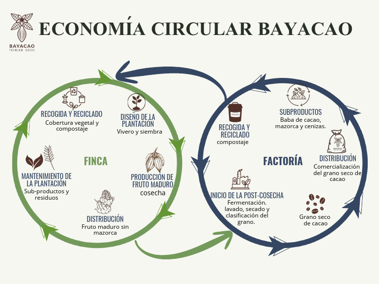 Economía circular 3 | PDF