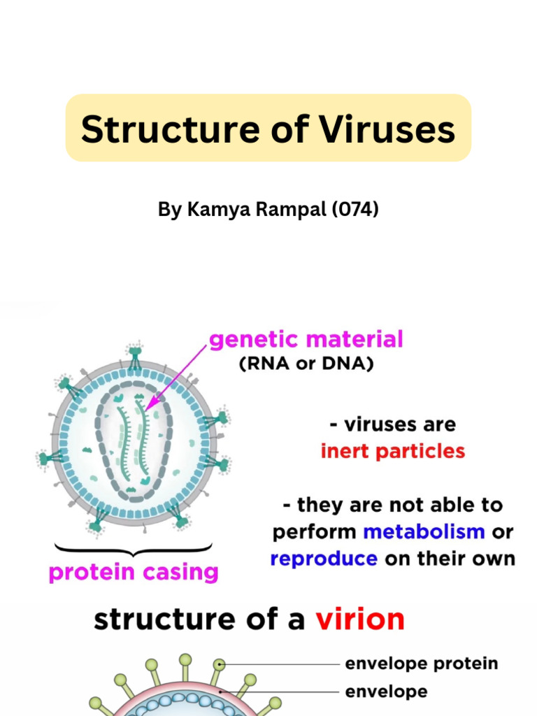 Structure of Viruses PDF | PDF