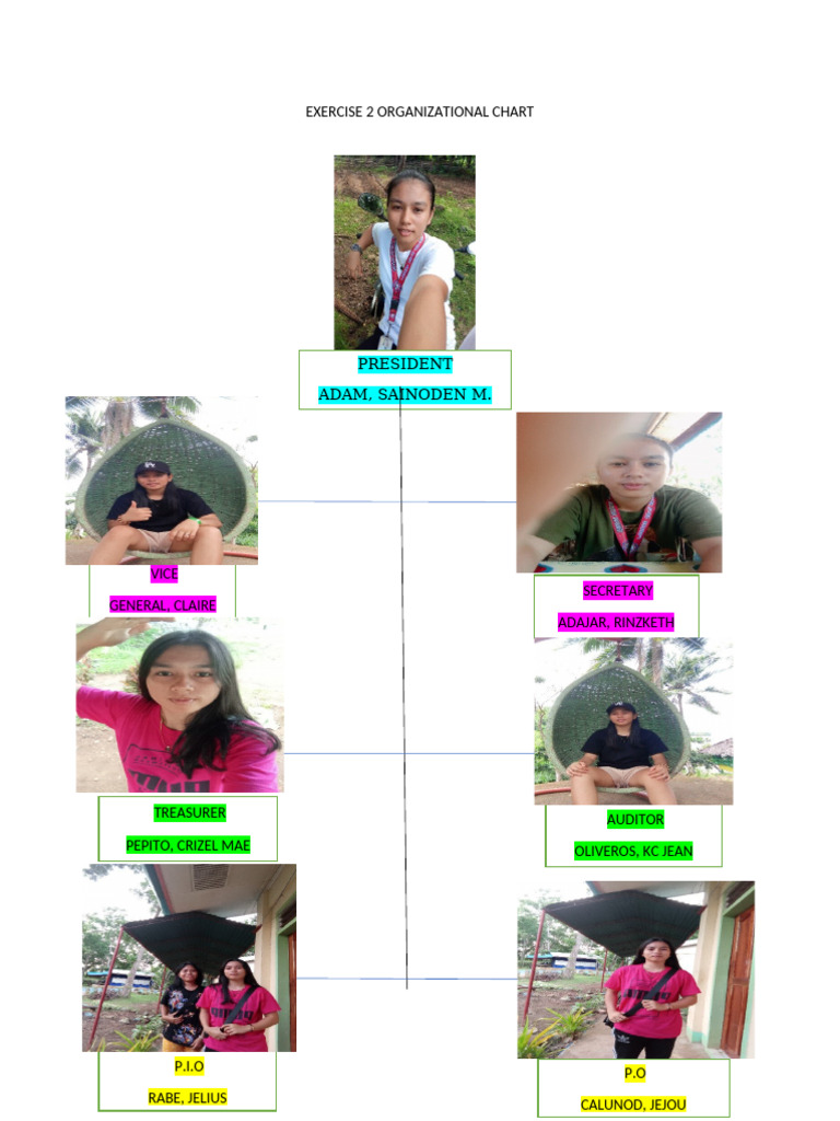 Exercise 2 Organizational Chart | PDF