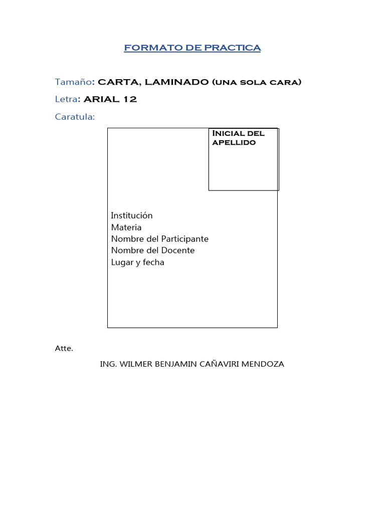 Formato de Practica | PDF