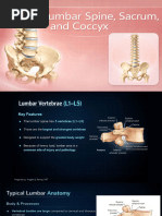 X-Ray Image Formation Explained | PDF | X Ray | Radiography