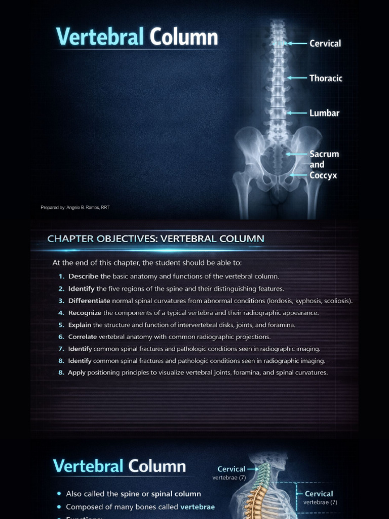 Vertebral Column Positioning | PDF
