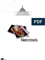 NEcrosis