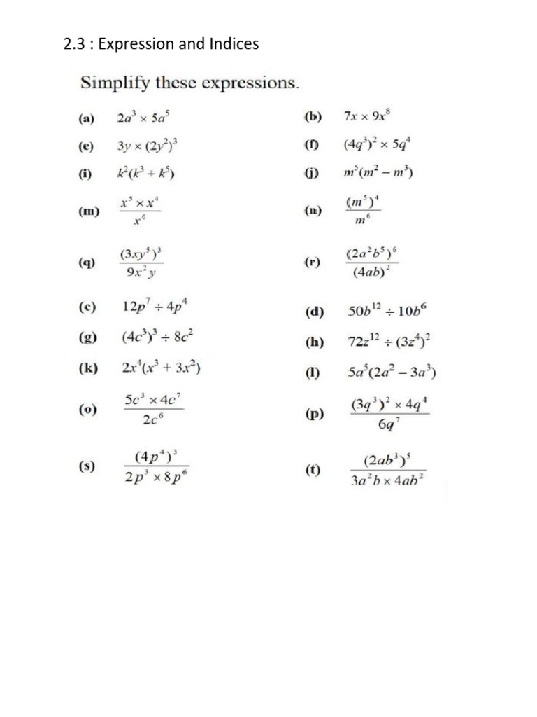 2.3 Expression and Indices | PDF