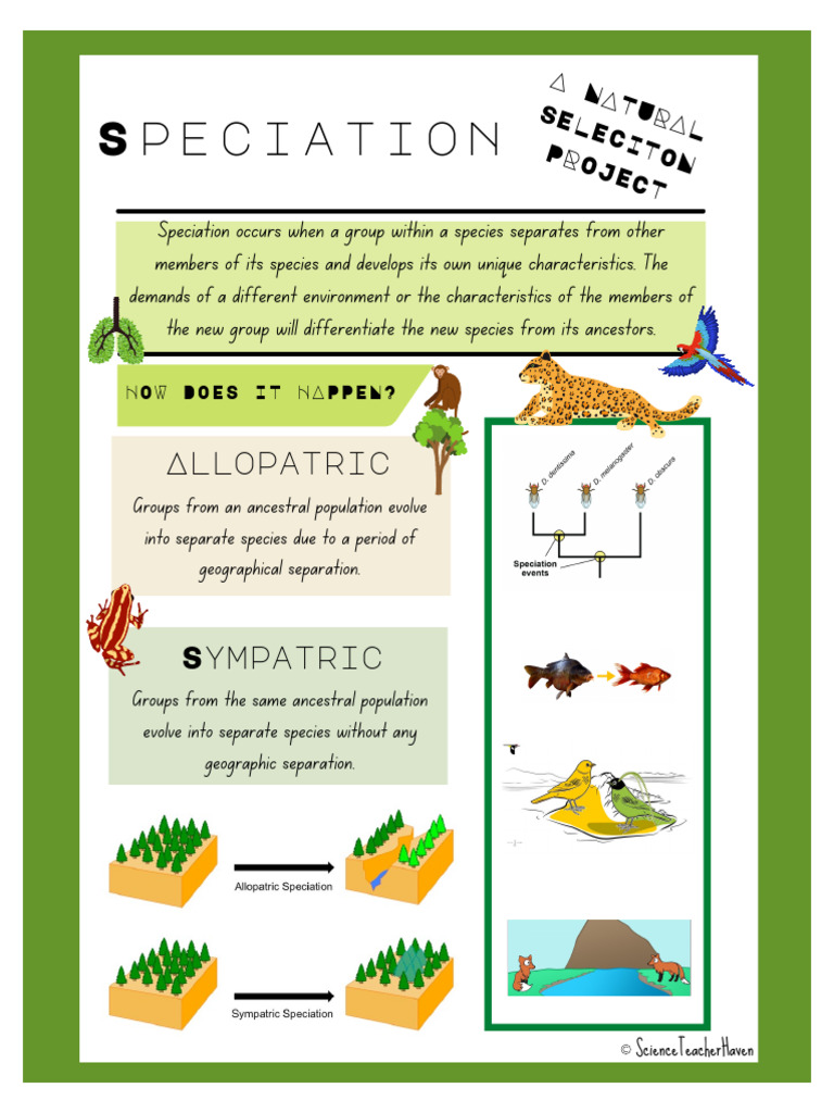 Speciation Project | PDF