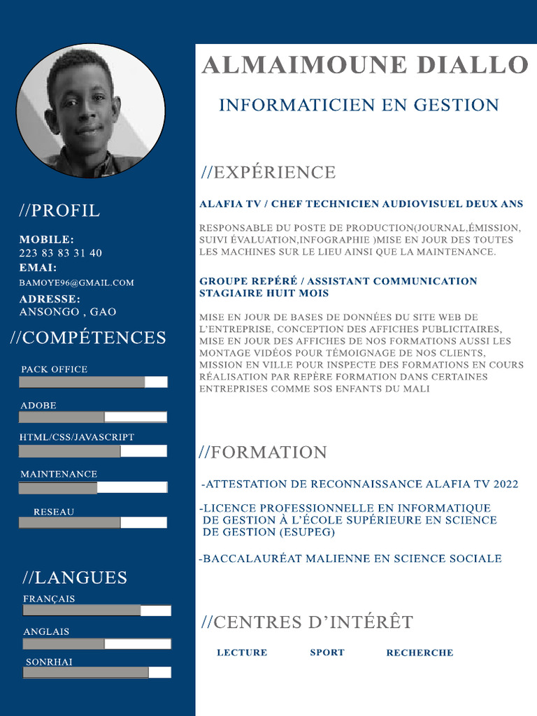 Almaimoune Diallo CV-Avec Compression | PDF