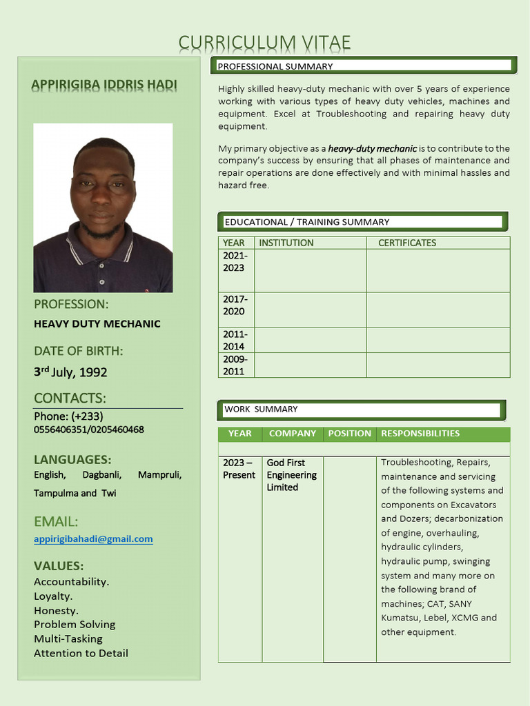 Appirigiba Iddris Hadi CV | PDF