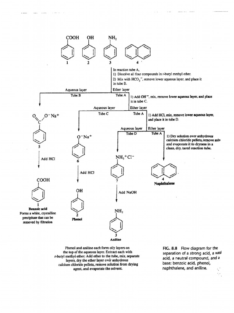 Experiment #2 Flow Chart | PDF
