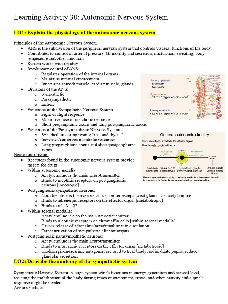 Autonomic Nervous System | PDF | Autonomic Nervous System | Acetylcholine