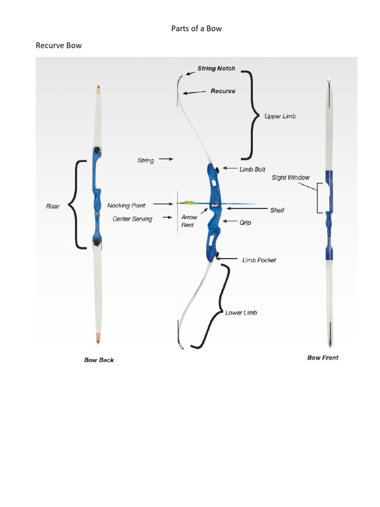 Parts of A Bow | PDF | Bow And Arrow | Arrow